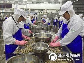 對接“一帶一路”戰略，打造新時代進出口食品安全大通道